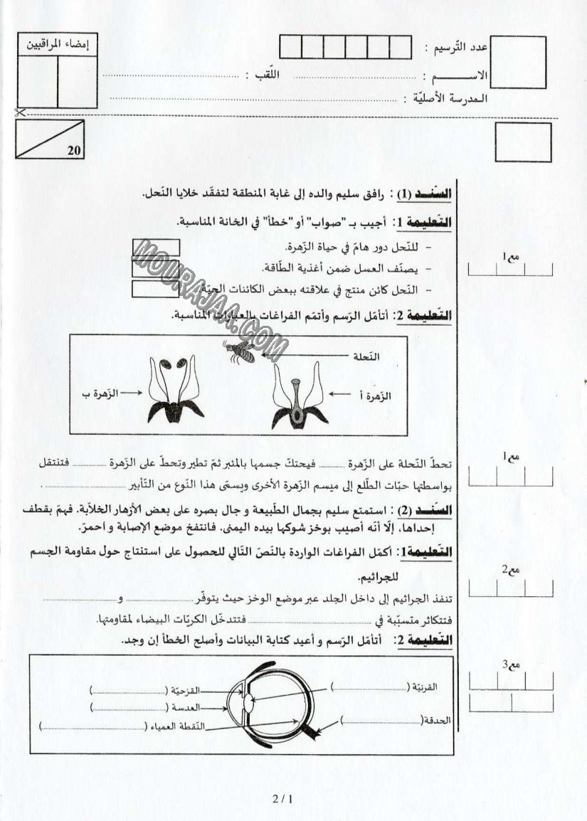 ايقاظ علمي 2017